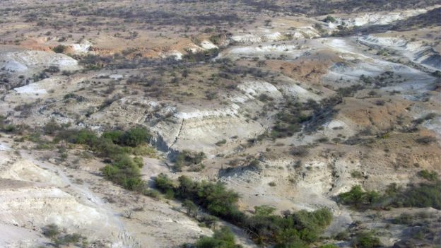 Changing environment influenced human evolution - BBC News