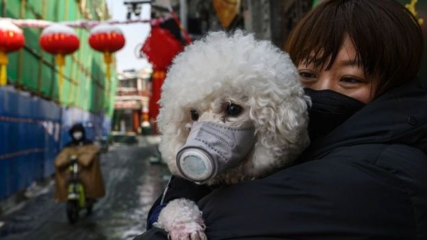 Uma mulher chinesa segura seu cachorro (que também usa uma máscara protetora) enquanto eles estão na rua em 7 de fevereiro de 2020 em Pequim, na China