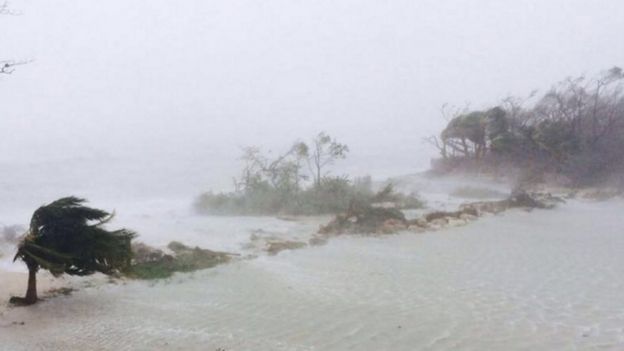 Trees are blown sideways as Hurricane Matthew makes landfall in Adelaide, New Providence island in the Bahamas, 6 October 2016