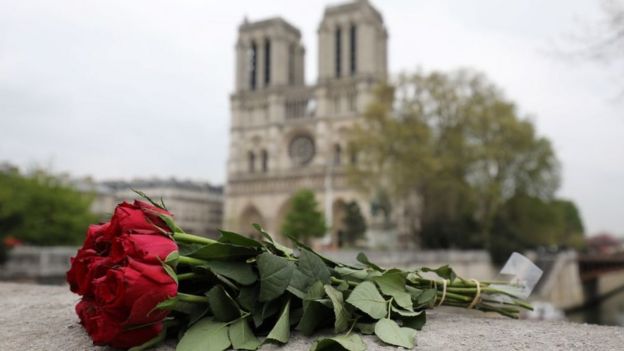 Una rosa frente a Notre Dame