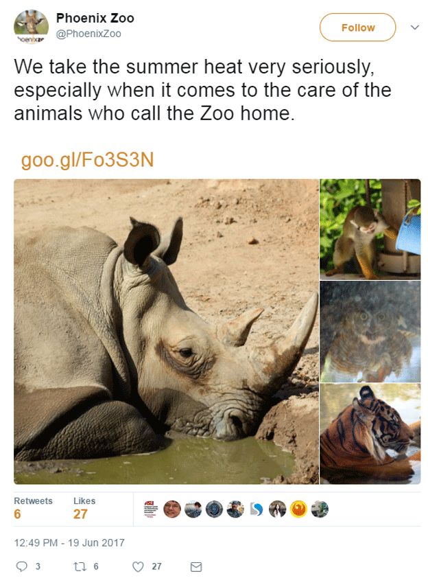 Tweet showing rhino at zoo