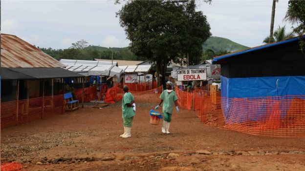 科學家得出結論稱，這種新型埃博拉病毒的爆發始於一個人：一個來自幾內亞的兩歲男孩，後者判斷可能是在蝙蝠群聚的空心樹上玩耍時被感染的。