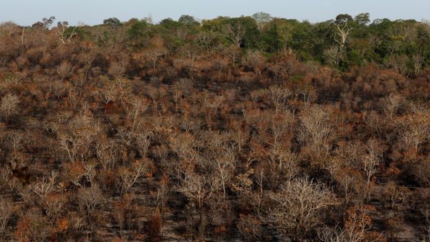 Imagem aérea mostra boa parte de floresta queimada