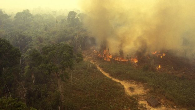 El Amazonas ardiendo