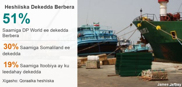 Sida loo kala leeyahay saamiyada dekada Berbera