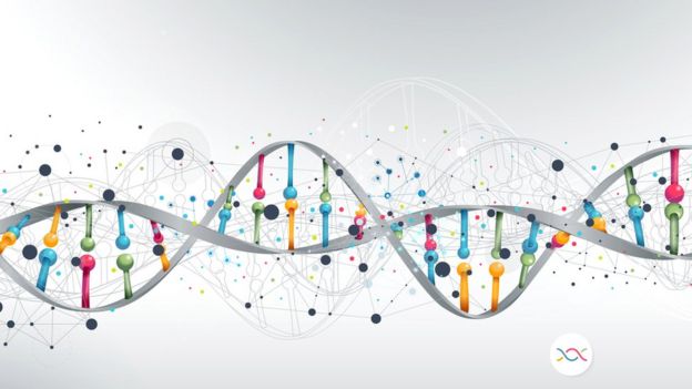 Representação do genoma humano