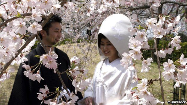 Newlyweds stand under cherry blossom in Fukuoka, Japan