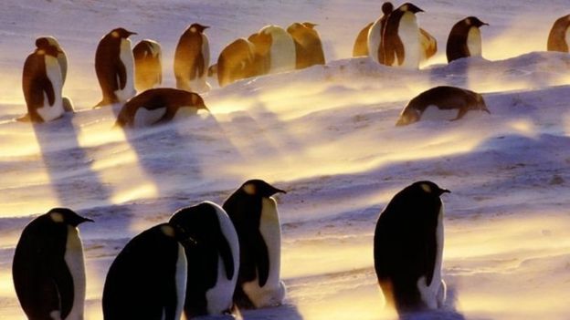 அண்டார்டிகாவில்