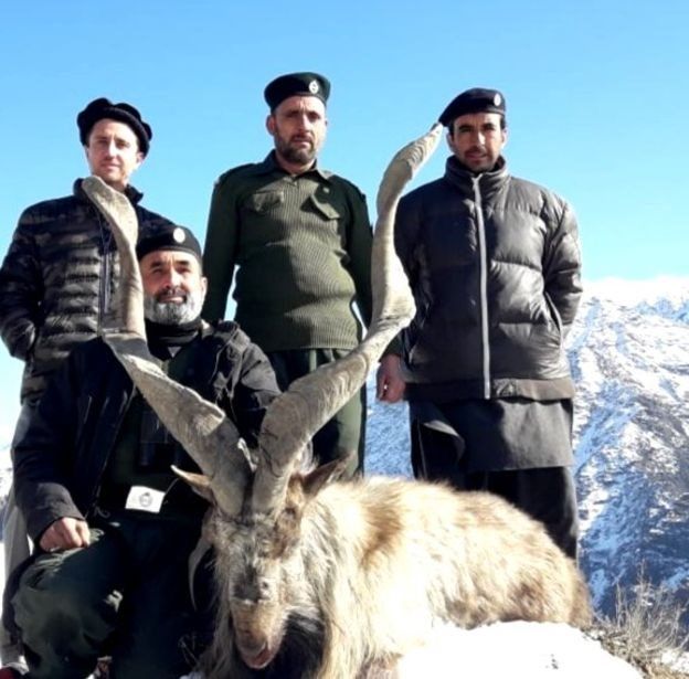 Markhor