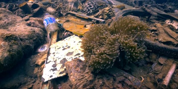 Botol plastik ditemukan di dasar lautan.