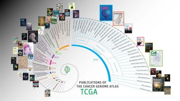 El Atlas del Genoma del Cáncer