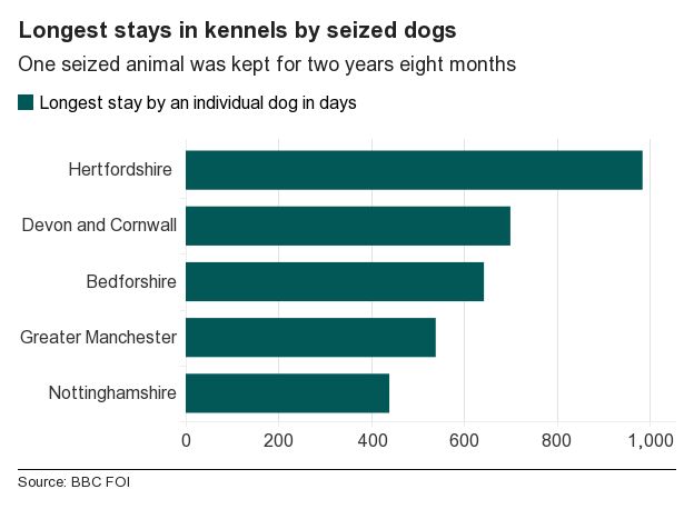 One seized dog was kept in kennels for two years, eight months