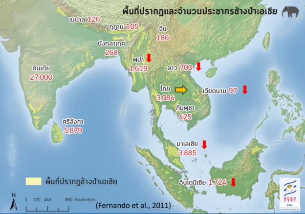 พื้นที่ปรากฏตัวและจำนวนประชากรช้างในเอเชีย