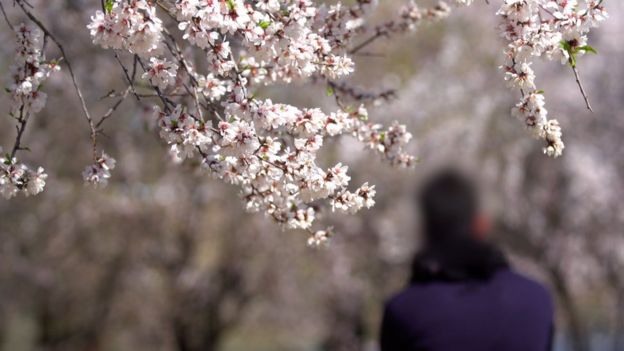 குழந்தை பருவத்தில் பாலியல் வல்லுறவுக்கு உள்ளான காஷ்மீர் இளைஞர்