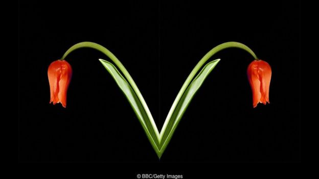 à¤®à¤¹à¤¿à¤²à¤¾à¤à¤