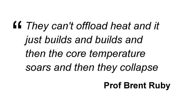 Prof Brent Ruby quote