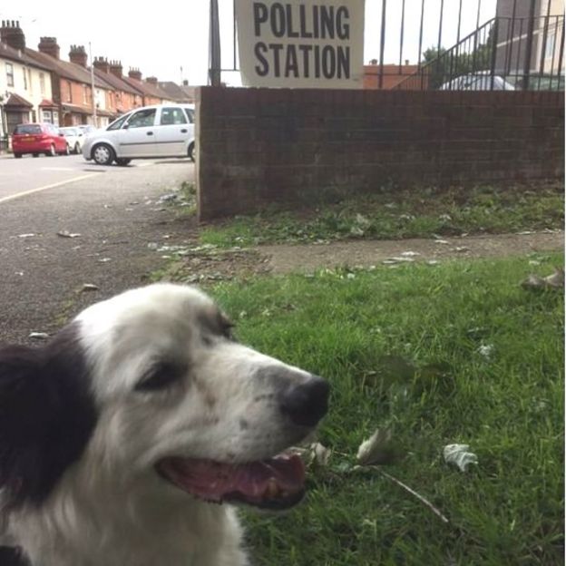 Skye waiting by a polling station