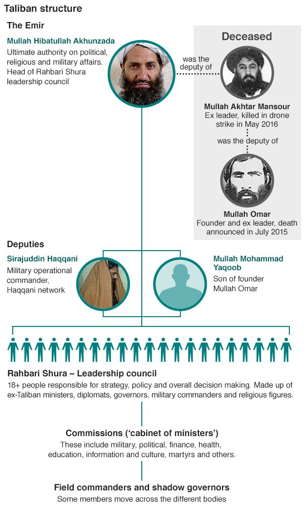 Taliban structure