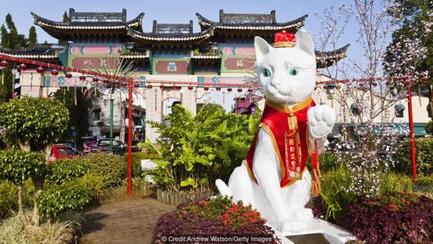 Người gốc Trung Quốc ở Kuching tin rằng mèo đem lại may mắn.