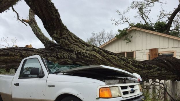 Un coche bajo un árbol arrancado por el huracán Harvey en Rockport, Texas, Estados Unidos.