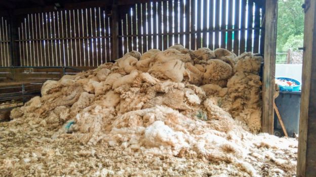Coronavirus: Sheep wool 'barely worth selling any more' 2 Sheep fleeces