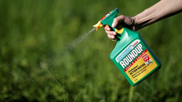 Roundup