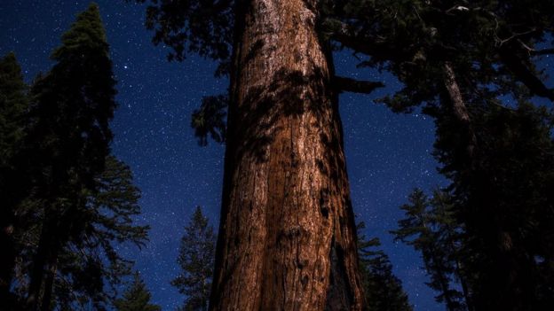 கடற்கரையில் இருக்கும் மணல் துகள்களைவிட இந்த பிரபஞ்சத்தில் நட்சத்திரங்கள் அதிகம் இருக்கின்றனவா?