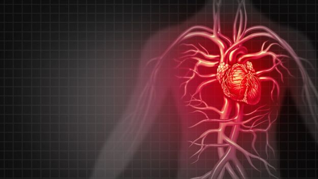 Ilustração do coração no corpo humano