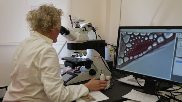 В научной лаборатории Йодрелла в Кью Гарденс сотрудники работают над извлечением ДНК растений. Лондон, 9 мая 2016 года.
