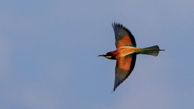 சூழலியல் மீதான போர்: நாம் தெரிந்துகொள்ள வேண்டிய 5 தகவல்கள்