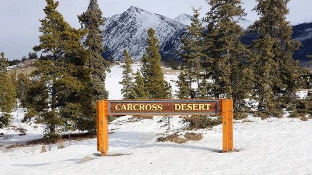 El enorme cartel anunciando la entrada a desierto de Carcross.
