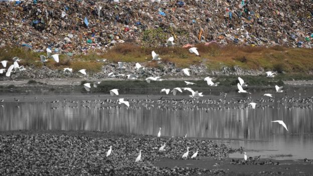 'மாசு' என்பதை மையக்கருவாகக் கொண்டு பிபிசி நடத்திய 19ஆவது வார புகைப்படப் போட்டியில் தேர்வு செய்யப்பட்ட பிபிசி தமிழ் நேயர்களின் சிறந்த புகைப்படங்கள்.