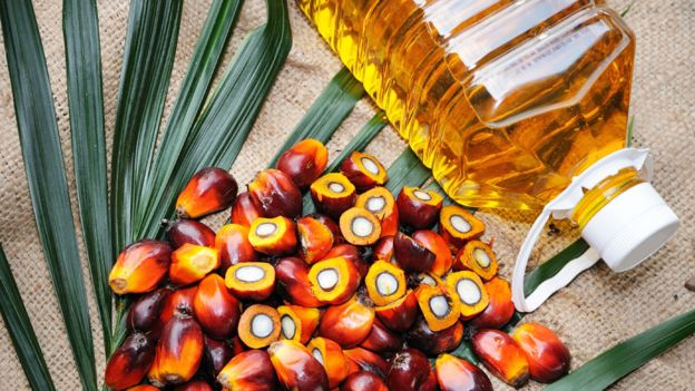 Frutos de la palma de aceite junto a una botella de aceite de palma