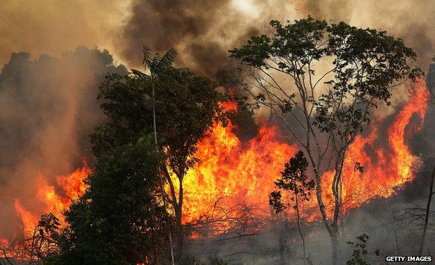 A fire burns along a highway in a deforested section of the Amazon basin in 2014
