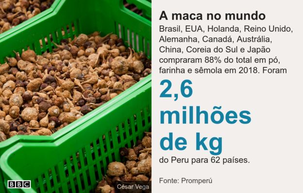 Imagem mostra as exportações de maca peruana no mundo