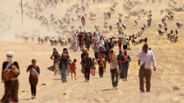 Displaced Iraqis from the Yazidi religious minority flee Islamic State fighters by walking towards the Syrian border (11 August 2014)
