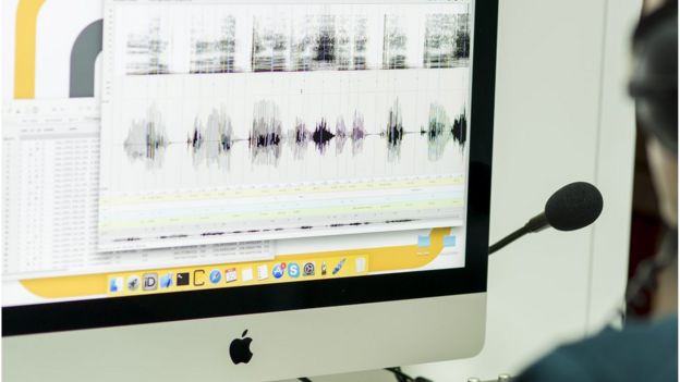 A person recording their voice on a computer