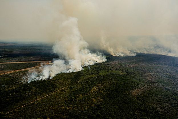 Queimadas no Pantanal de Mato Grosso