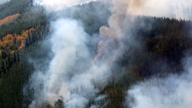 Incendios en Maule