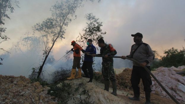 'Ratusan Hektare' Hutan Dan Lahan Di Riau Dilanda Kebakaran, Warga ...