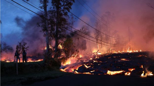 Lava do vulcão escorre próxima à vegetação, no Havaí