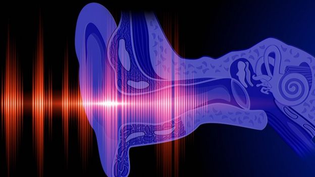 Representação gráfica de como o ouvido humano percebe sons