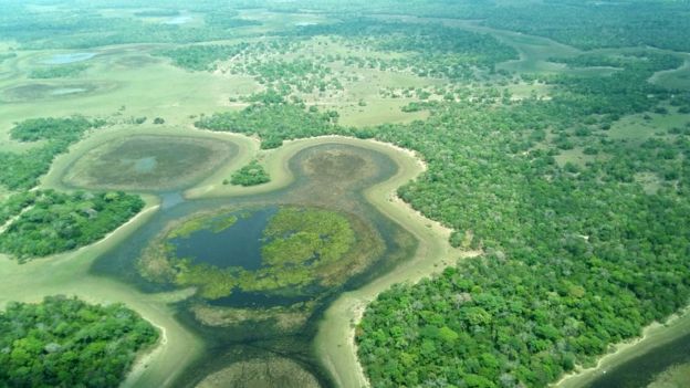 Vista aérea do Pantanal