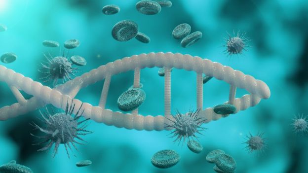 கொரோனா வைரஸ்