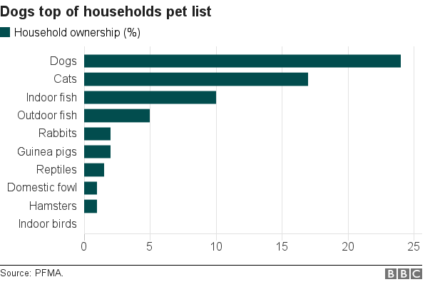 Dogs top of ownership list