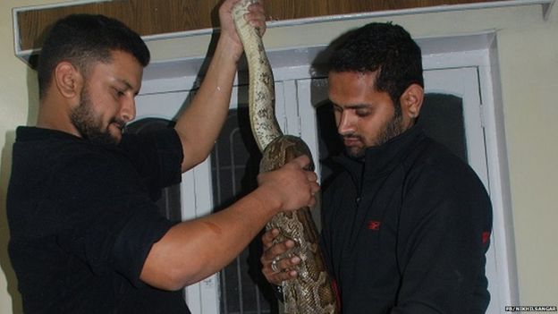 ਸੱਪ, ਨਿਖਿਲ ਸੰਗਰ