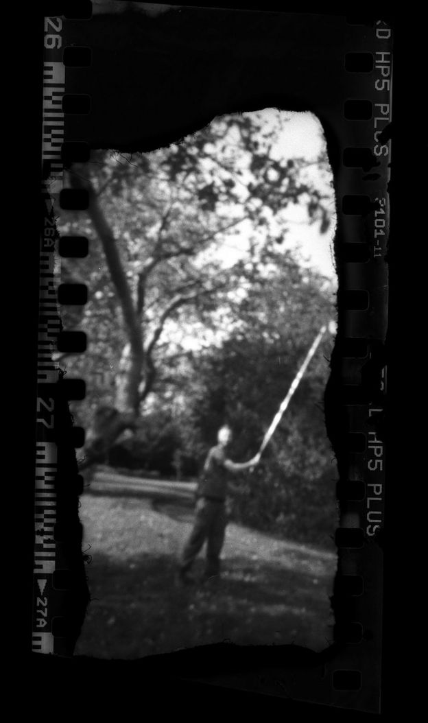 Man in an orchard