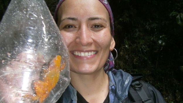 தேடுதல் வேட்டையில் சிக்கிய மேலும் சில தவளைகள்