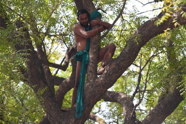 Agricultor abrazado a un árbol.