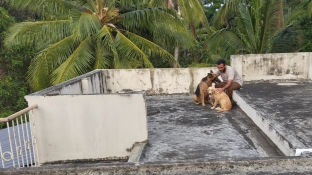 Ratheesh Sukumaran on his terrace with his dogs